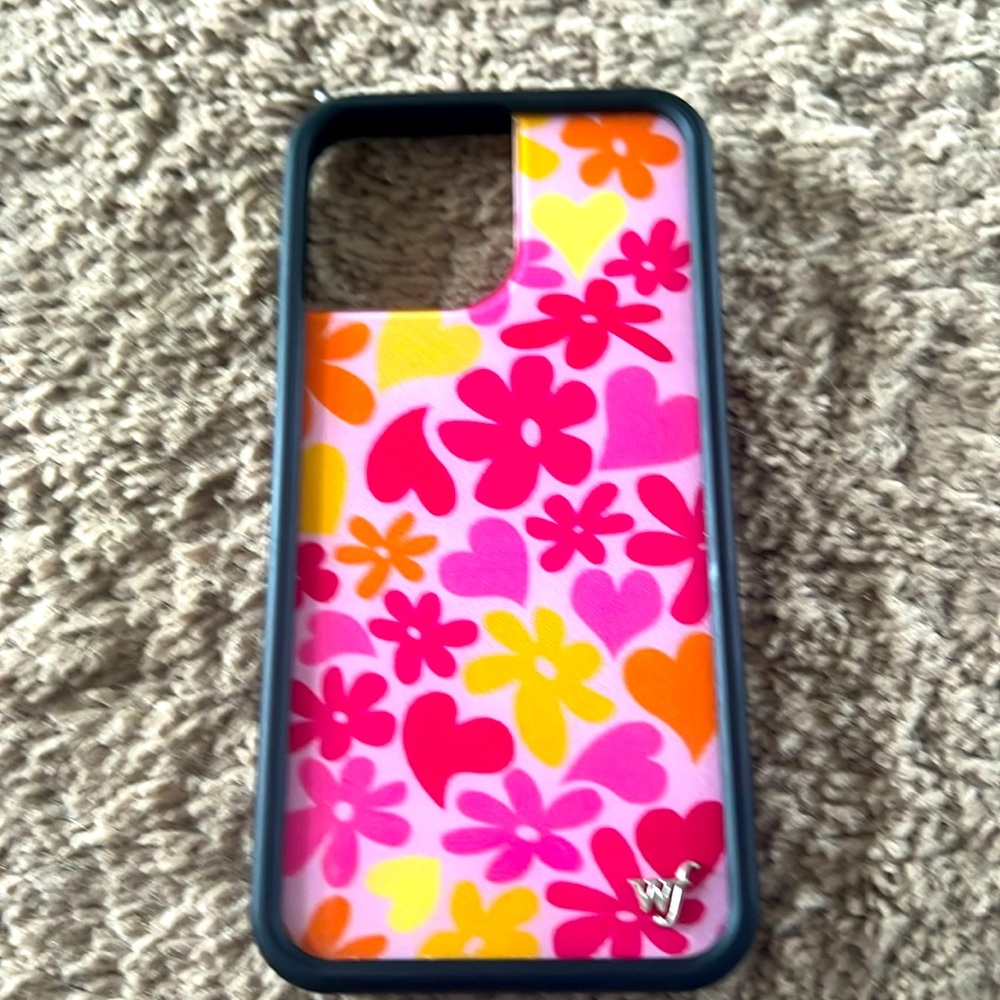 iPhone 13 Pro Max case.